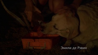 Остаться в живых