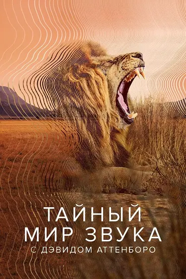 Тайный мир звуков с Дэвидом Аттенборо
