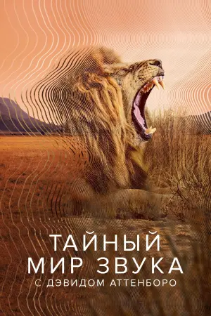 Тайный мир звуков с Дэвидом Аттенборо