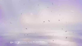 One Piece. Большой куш